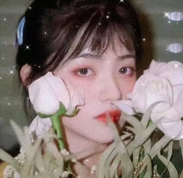 镀金的恋爱